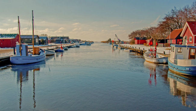 Foto fra Nationalpark Skjern Å-fotokonkurrencen